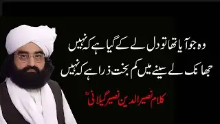 Kalam Peer Naseer ud din Naseer | Wo Jo Aya Tha | sufi kalam 2022