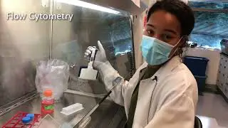Hutch@Home: Virtual Field Trip: The Michael Boeckh Lab | October 13th, 2020