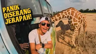 BERKUNJUNG KE KEBUN BINATANG DI THAILAND! Jerapahnya Rusuh Banget!