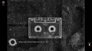 Vintage Culture, Bhaskar & Meca Feat. The Vic - Tina