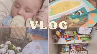 Vlog arrumação, introdução alimentar,brinquedos Montessori de tecido
