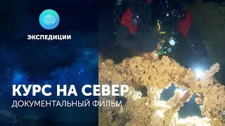 Документальный фильм «Курс на север»