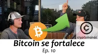 10. Bitcoin se fortalece