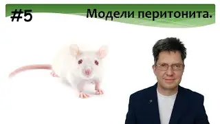 Моделирование перитонита, сепсиса на лабораторных животных.