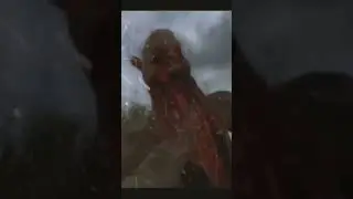 Сон сталкера