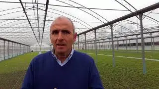 Valter Finocchietti presents OrtoFlora