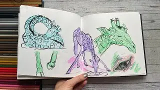 How to draw… giraffes | sketchbook live session