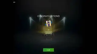 Grand Festive Container Opening