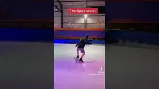 Different types of ice skaters 