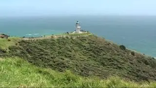 Cape Reinga Off Road Adventure - Bay of Islands