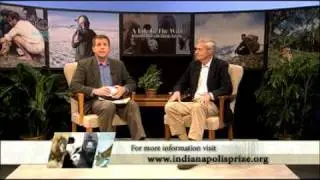 Mountain Gorillas-YouTube Widescreen