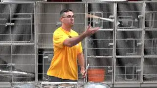 AMAZING Tenor Chops