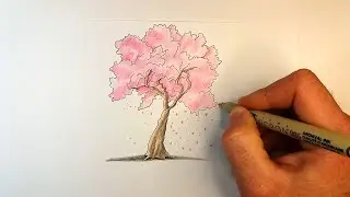 Как нарисовать Сакуру | How to draw Sakura