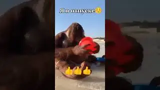Я В ОТПУСКЕ #shortsviral #shorts