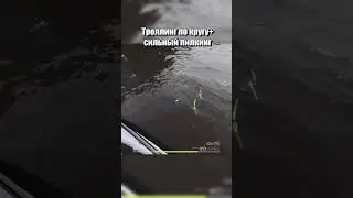 🦈 Гигантская акула Трофей 🦈 Норвежское море  #rf4 #рр4 #русскаярыбалка4 #russianfishing4 #трофей