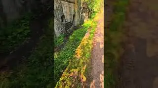 Монрепо, Выборг. пешая прогулка до каменоломни и лаборатории. #wiborg #forest #monrepo #stones