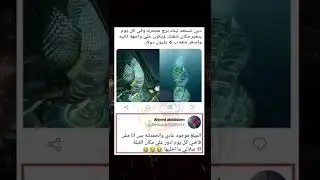 أقوال توماس شلبي معلومات/أستوريات أنستا/حالات واتس أب/أستوريات حماسية