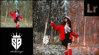 lightroom creative Dual Color Tone Photo Editing Preset Download || PicsArt Editing Tutorial