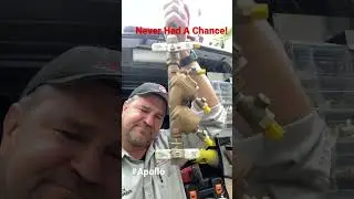 Power of Frozen Water - Burst Backflow 