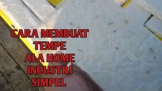Cara Membuat Tempe Ala Home industri