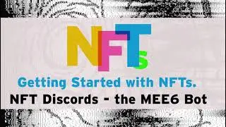 Intro to Discord for NFTs   MEE6