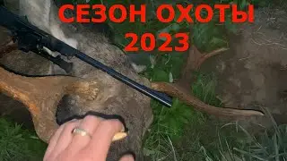 ОХОТА НА ЛОСЯ ВТОРОЙ ТРОФЕЙ ЛОСЯ  СЕЗОН ОХОТЫ 2023  И ГОТОВЛЮ Отбивные из лосятины / Elk Hunting