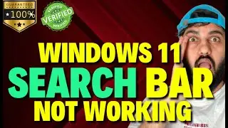 Windows 11 Search Bar Not Working