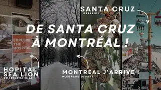 N°6 Santa Cruz (Sea Lion, Downtown, Surfeur et départ pour Montréal)