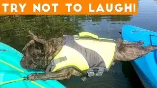 [60 MIN] Cutest Pet Videos! | Best of the WEEK September 2018