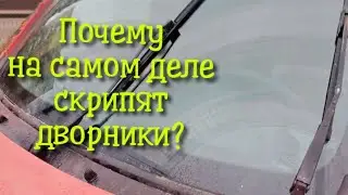 Why do windshield wipers actually squeak?