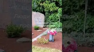 Жизнь в гермнии