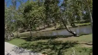 Break Walk 1080p