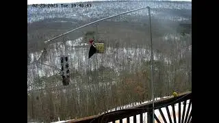 Nice Woodpecker on the Birdfeeder