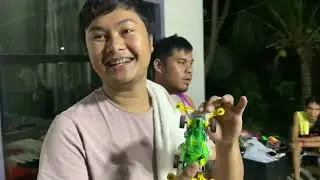 Mini 4wd tamiya ph