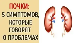 ПОЧКИ: 5 СИМПТОМОВ, КОТОРЫЕ ГОВОРЯТ О ПРОБЛЕМАХ...