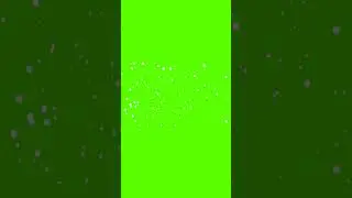 snow fall green screen
