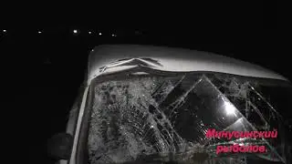 Трасса Минусинск-Курагино.  Очередное ДТП с участием животного вблизи с.Малая Минуса! 16.09.2020г.