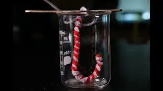 Borax Crystal Timelapse