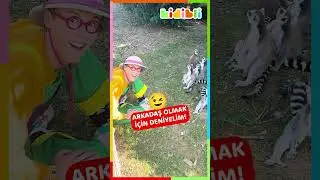 Çok tatlı yeni arkadaşlar edindim 🐒 | Kidibli #shorts