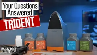 Hands off Aquarium Test Kit? Your Neptune Systems Trident Answers Are Here!