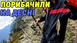 Вийшла екстремальна рибалка😁 Рибалка на Десні 2024🎣 #рибалка #рибалкавукраїні #рибалканадесні2024