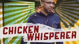 Sounds of CS:GO - Chickens