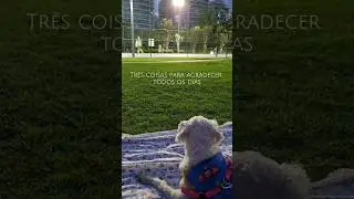 ✨️Já agradeceu por esses 3 motivos? 🔴SE INSCREVA 