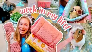 WEEK IN MY LIFE W/ 9 PETS + 3 JOBS! | cleaning, health checks, rabbit care + Membrane Solutions MSA3