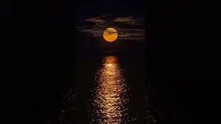 tumblr s1juahu8Vp1a6i3x5
