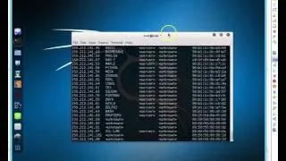 Kali Linux Networking Tools Demonstration