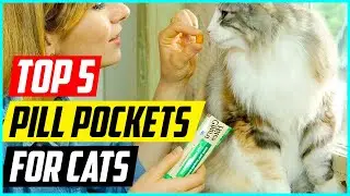 5 Best Pill Pockets For Cats