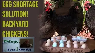 Raising Backyard Chickens for Beginners:  Part 1 - The Coop