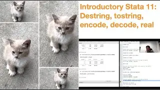 Introductory Stata 11: Convert String Var to Numeric Var
