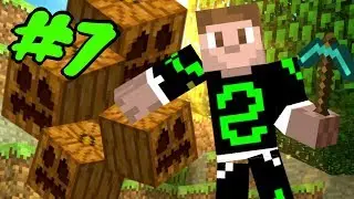 LA ZONA PER LE FARM - #7 Minecraft ITA